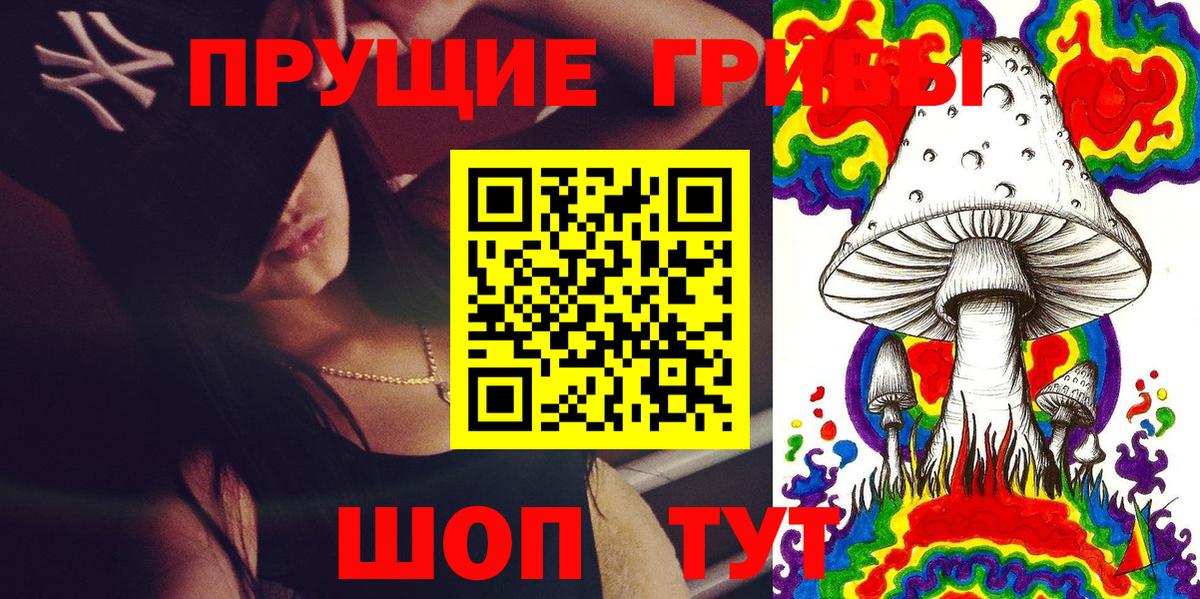 Галлюциногенные грибы Psilocybine cubensis  Вход с VPN  Кизляр 