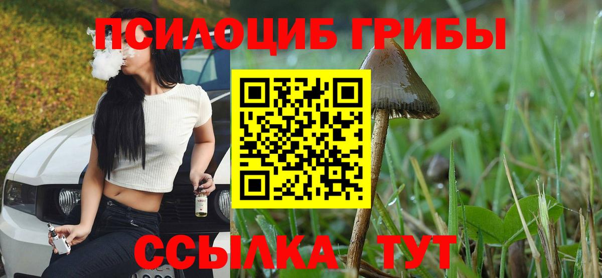 Псилоцибиновые грибы GOLDEN TEACHER Кизляр